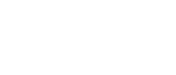 Savvy Digital Design contact
